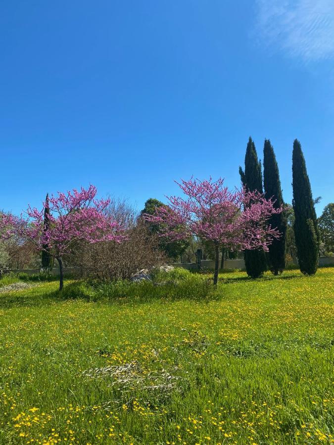 Agriturismo Colle Igino Matera Zewnętrze zdjęcie