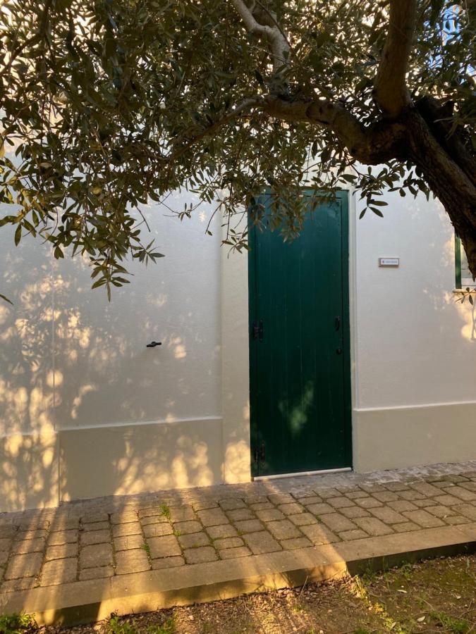 Agriturismo Colle Igino Matera Zewnętrze zdjęcie