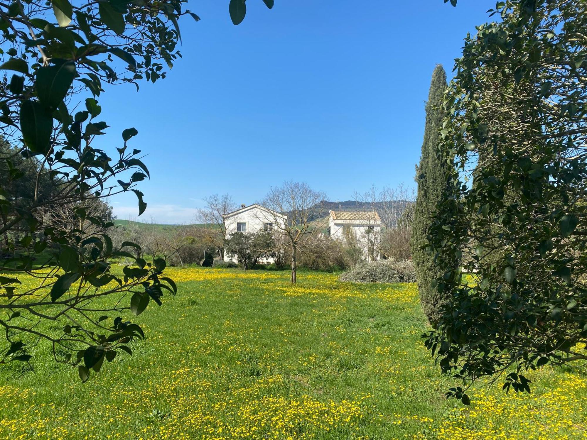 Agriturismo Colle Igino Matera Zewnętrze zdjęcie