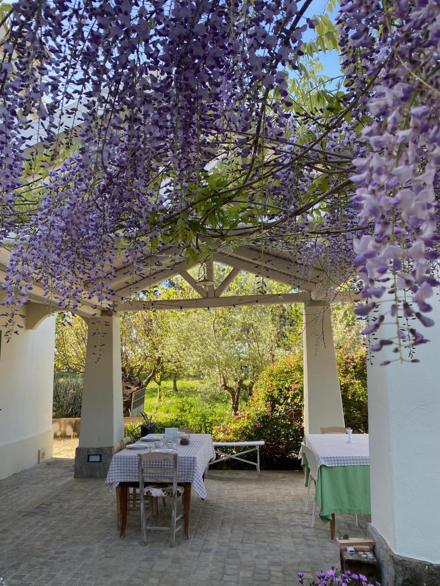 Agriturismo Colle Igino Matera Zewnętrze zdjęcie